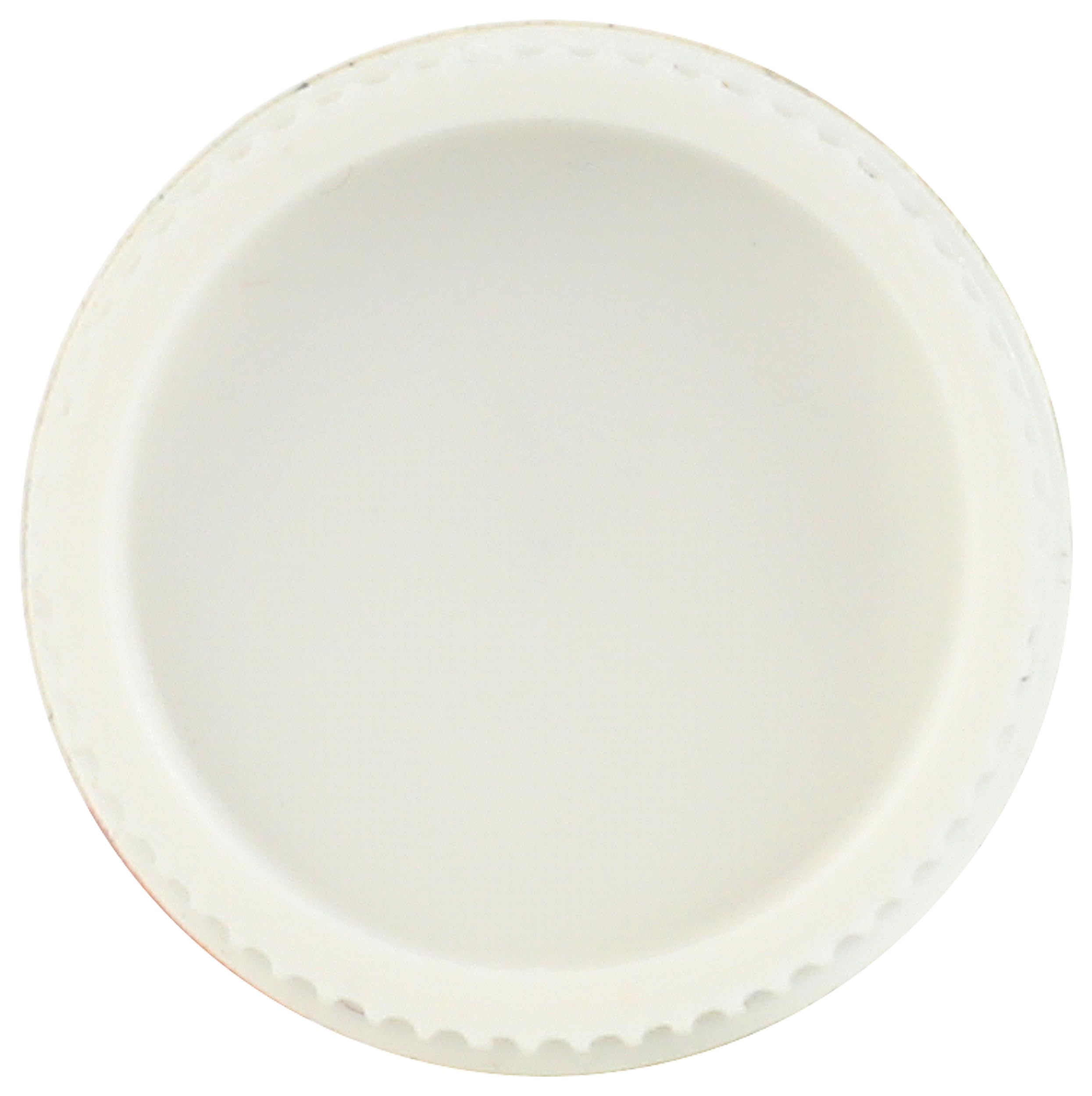 Burt's Bees Elderberry 4.25G. Dudak Bakım Kremi