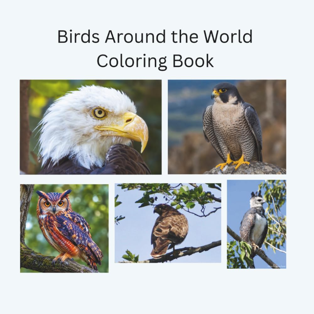 Bird Coloring Book: A Worldwide Bird Coloring Adventure