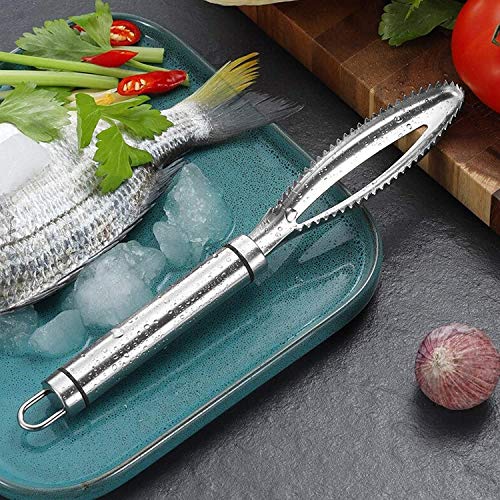 Top Chef Food Grade Fish Scale Remover Tool - Scaler Brush, Cleaner, Scraper, Descaler - Premium SUS-304 Stainless Steel for Easy Scaling and Cleaning