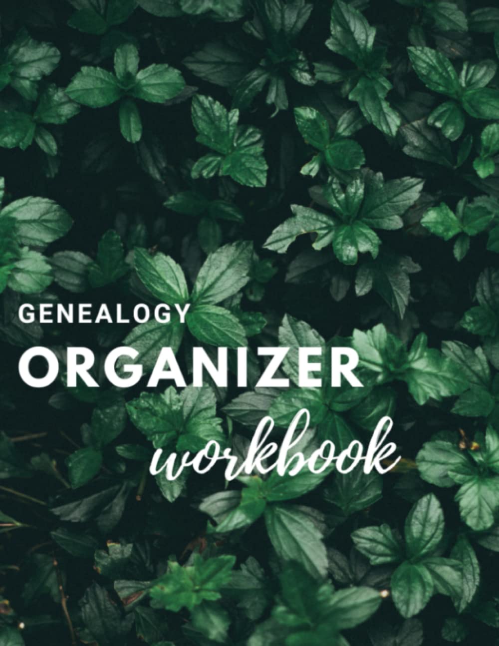 Family Tree Charts to Fill in Genealogy Organizer Workbook (Sheets for 25 Families): Family Tree Chart Genealogy Workbook