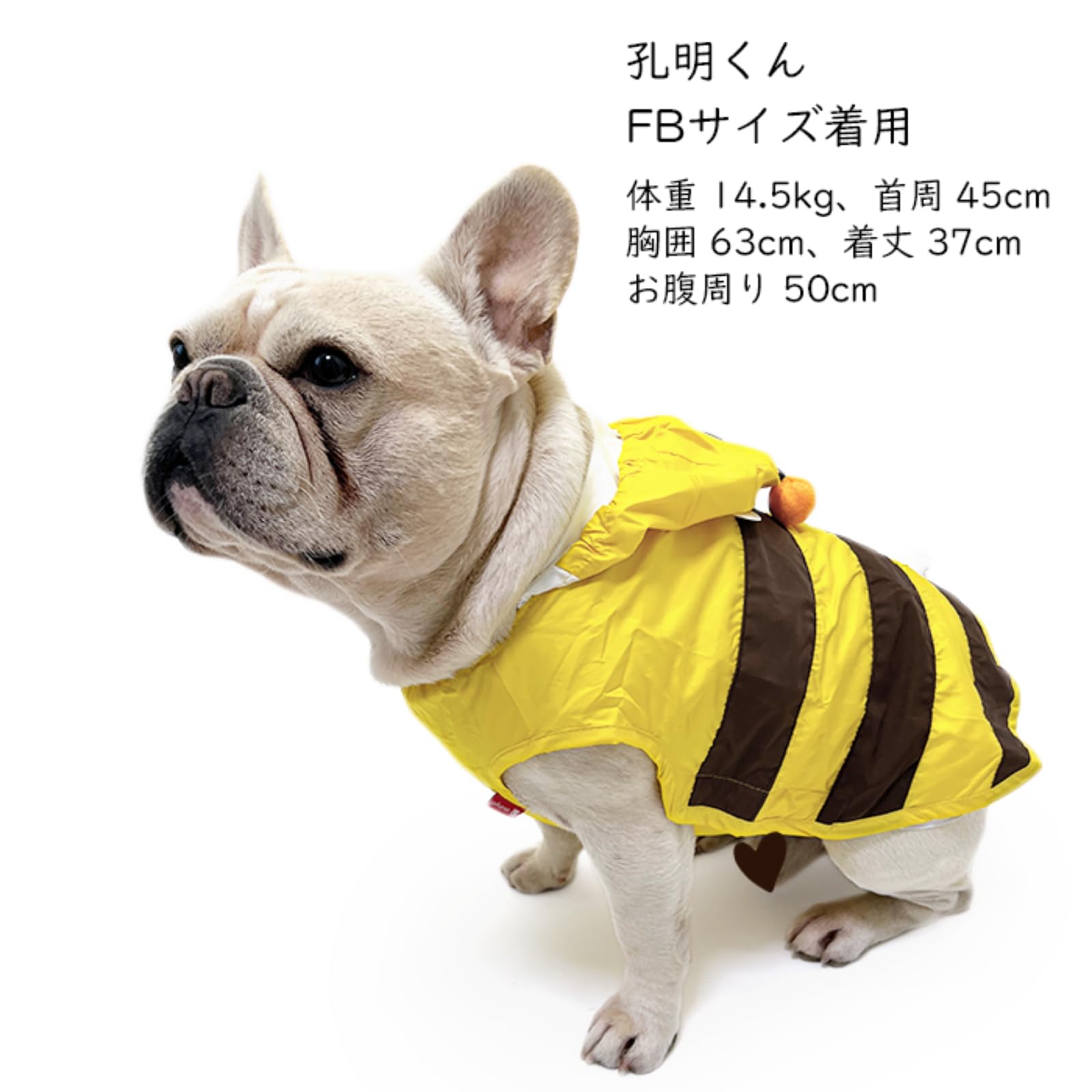 Amazon | 【24HOURS】犬 レインコート フレンチブルドッグ 中型