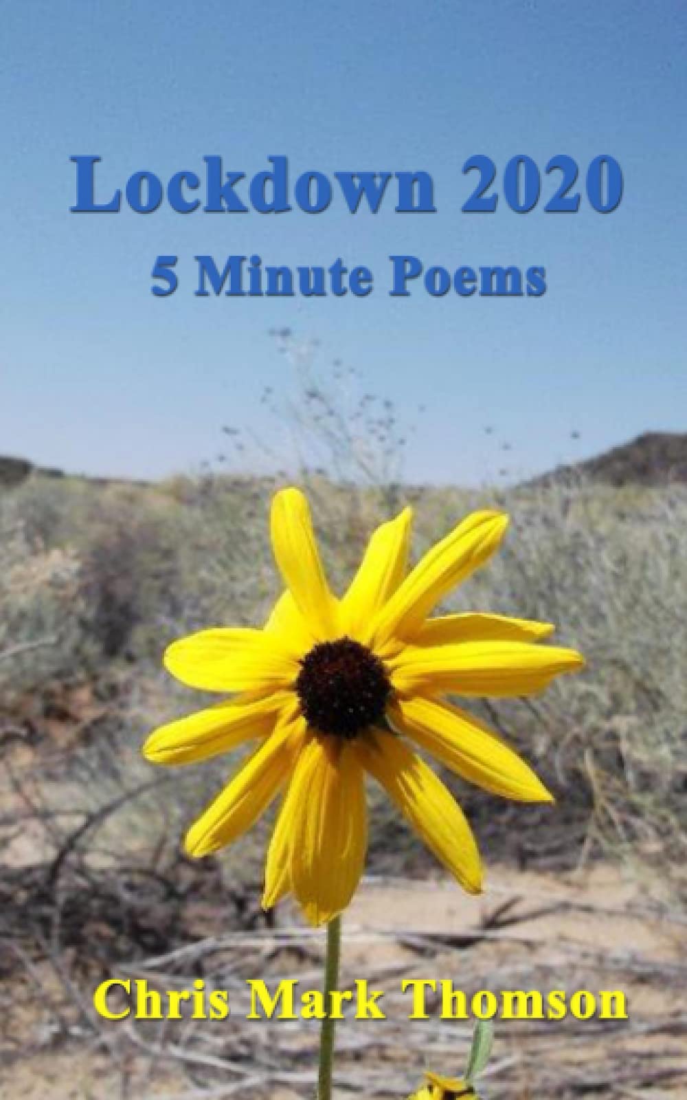 Lockdown 2020: 5 Minute Poems