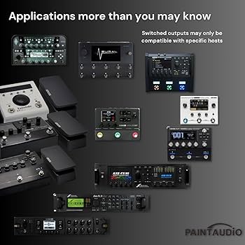 Amazon.com: Paint Audio Foot Captain Dual Outputs Expression