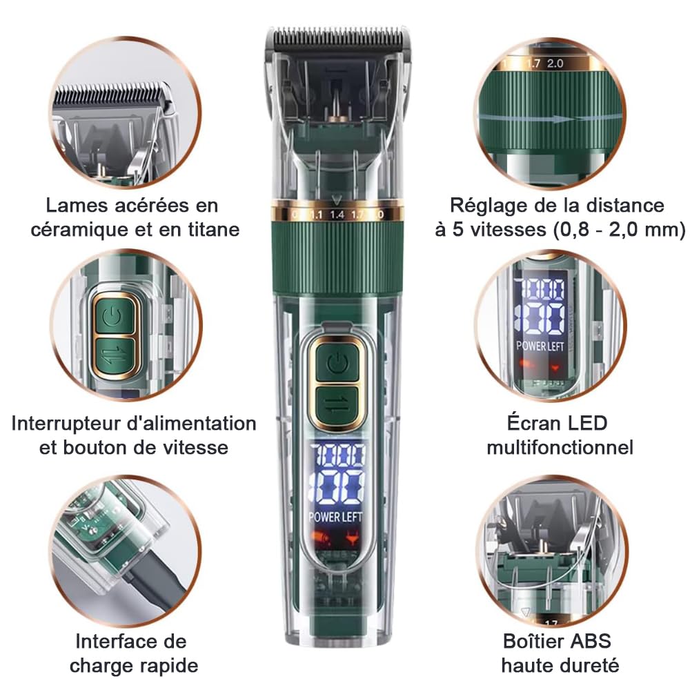 Tondeuse Professionnelle pour Chien et Chat, avec Écran LED, 4 Peignes de Limite, 3 Vitesses, Étanche IPX7 - pour Poils Longs et Noeud (Vert)