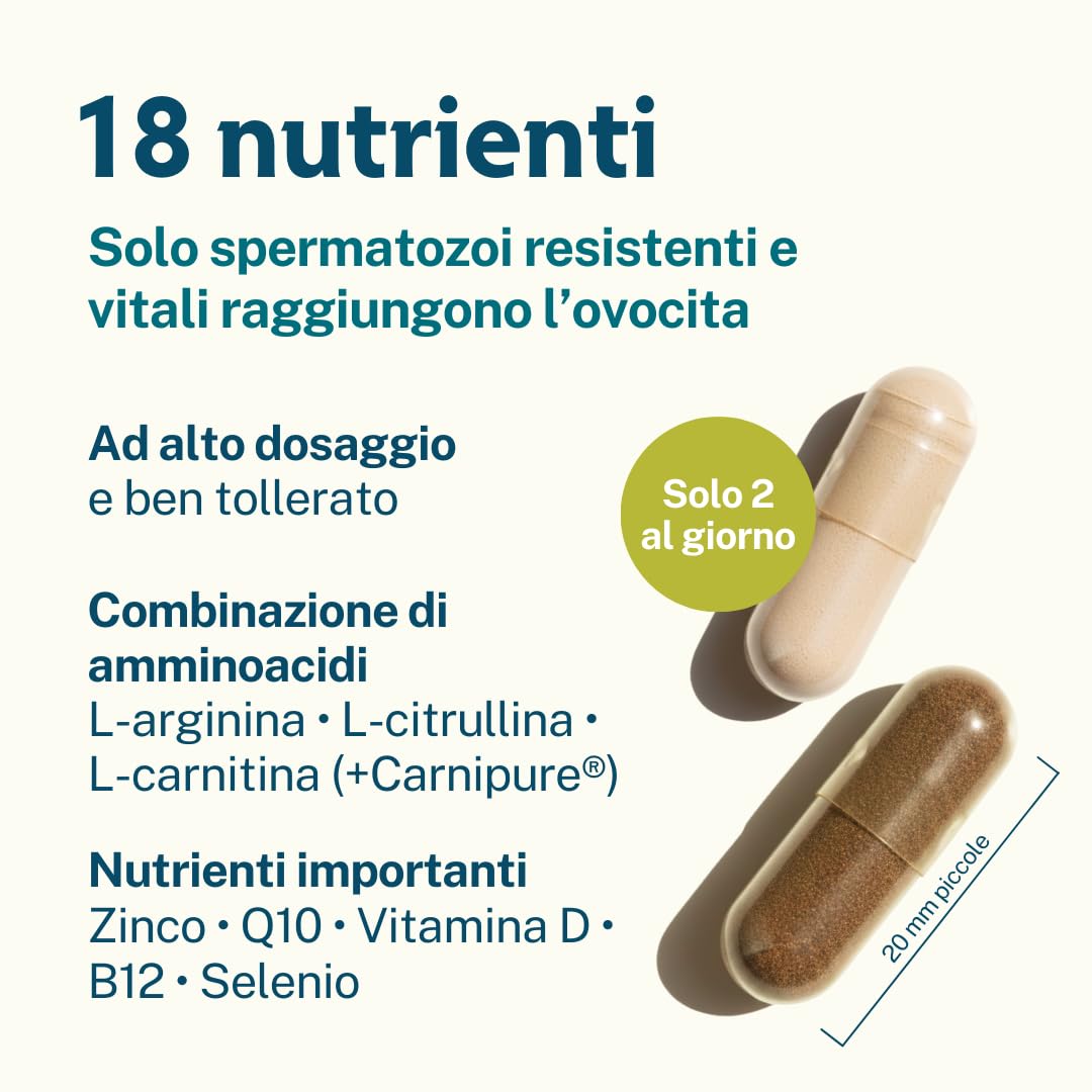 MascuPRO® Fertilitá - Produzione di spermatozoi - 180 Capsule per la fertilità maschile - L-carnitina, Zinco