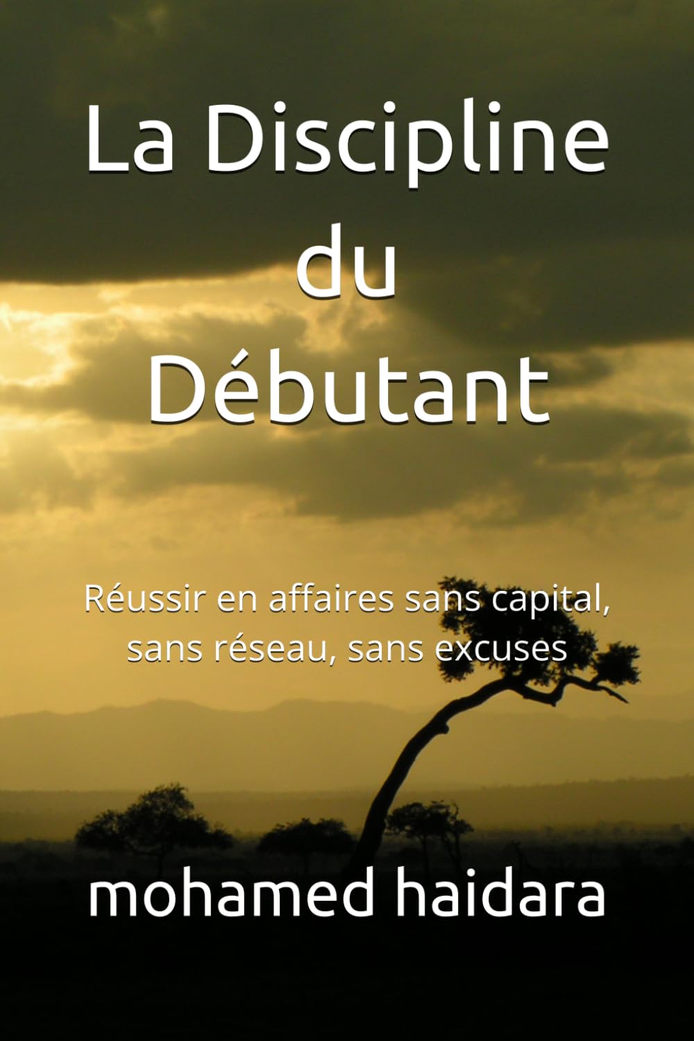 La Discipline du Débutant: Réussir en affaires sans capital, sans réseau, sans excuses