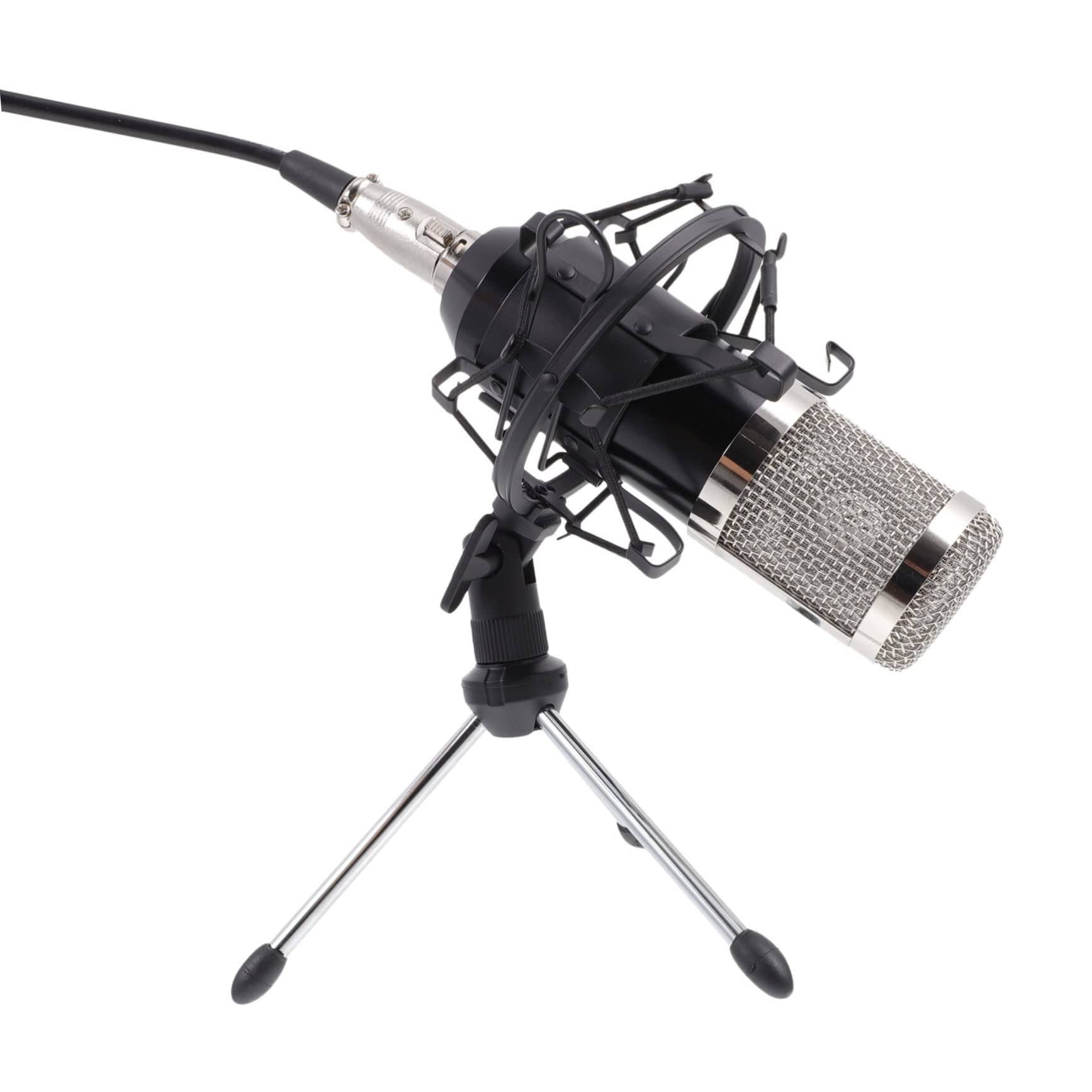 Microfono Condensatore con Filo Microfono Core Film Professionale per Studio Ktv Elettroplaccata e Corpo Verniciato Resistente