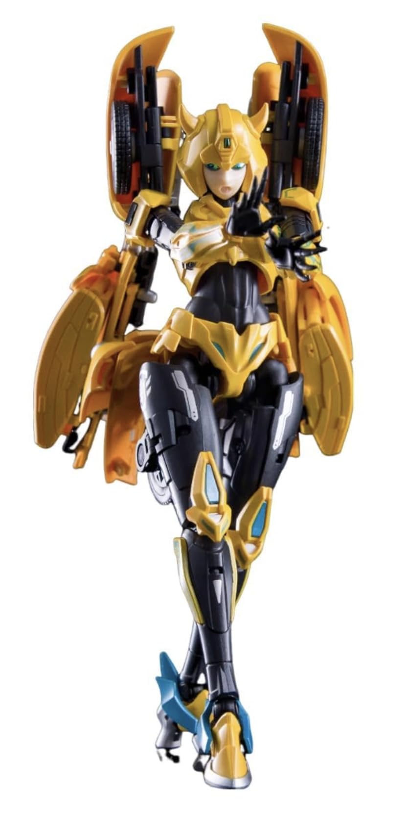 Collection Space LITTLE BEE CS-01