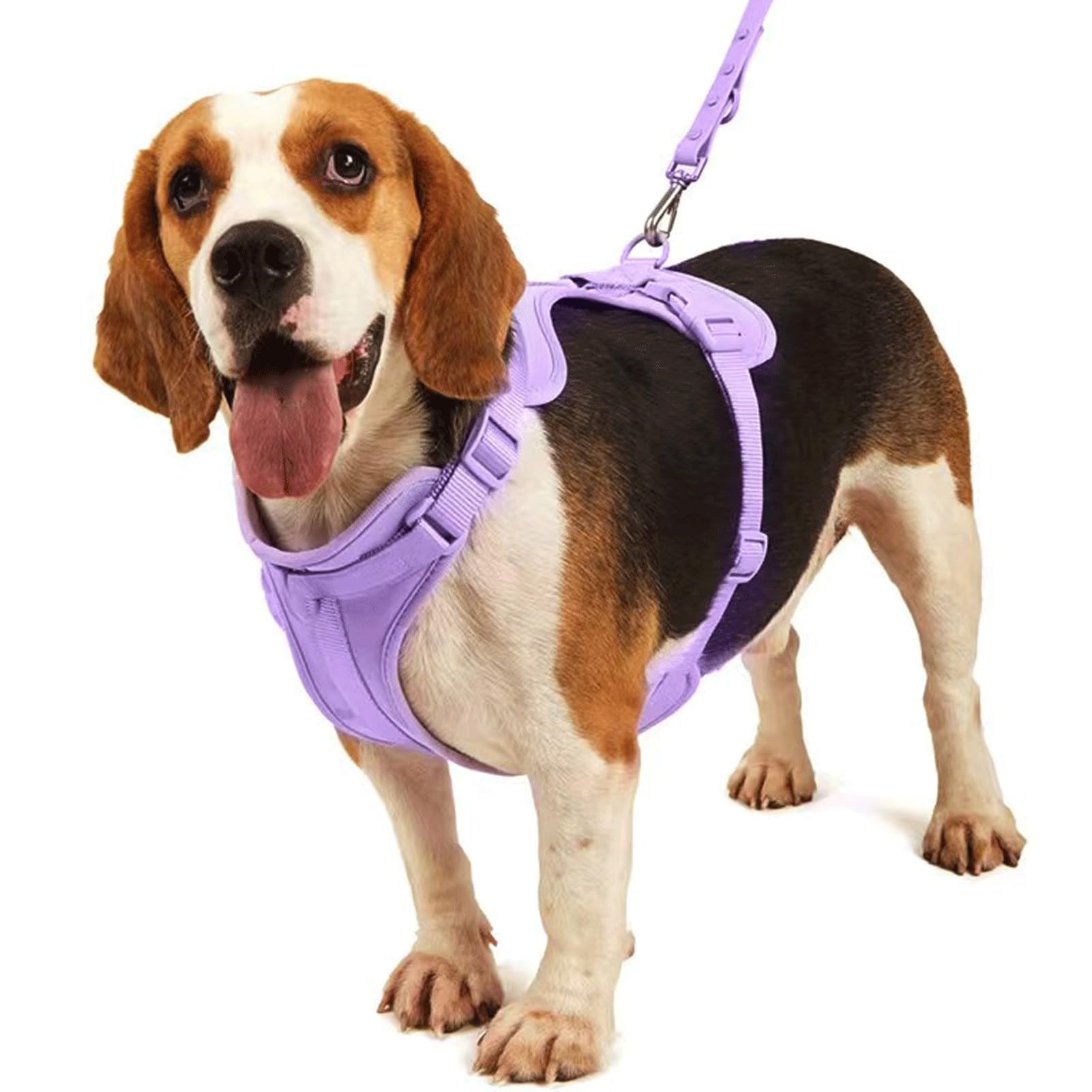 Set Di Pettorina Per Cani - Collare Regolabile, Pettorina, Guinzaglio E Porta Sacchetti Per Rifiuti - Resistente All'usura E Impermeabile | Adatto Per Le Passeggiate(M)