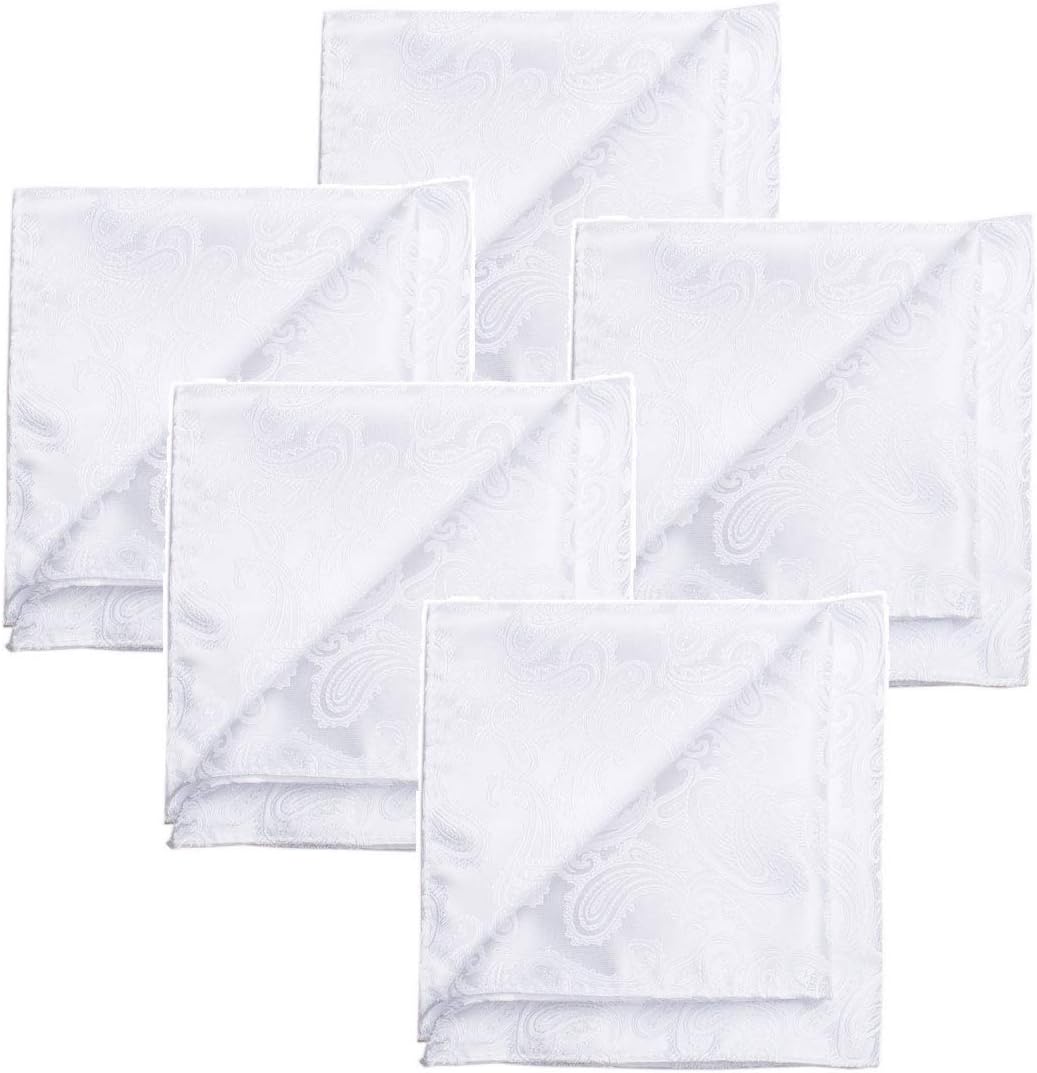 KissTies 5 PCS Pocket Square Set Paisley Wedding Hankies + 1 Gift Box