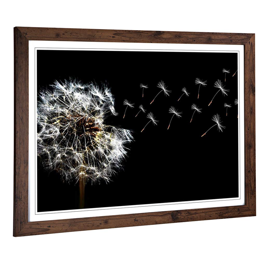 Big Box Art Framed Print of Flower Dandelion Seeds (3) Design | Wall Art Picture | Home Decor for Kitchen, Living, Dining Room, Bedroom, Hallway, Office, Walnut, A2 / 24.5x18 Inch / 62x45cm