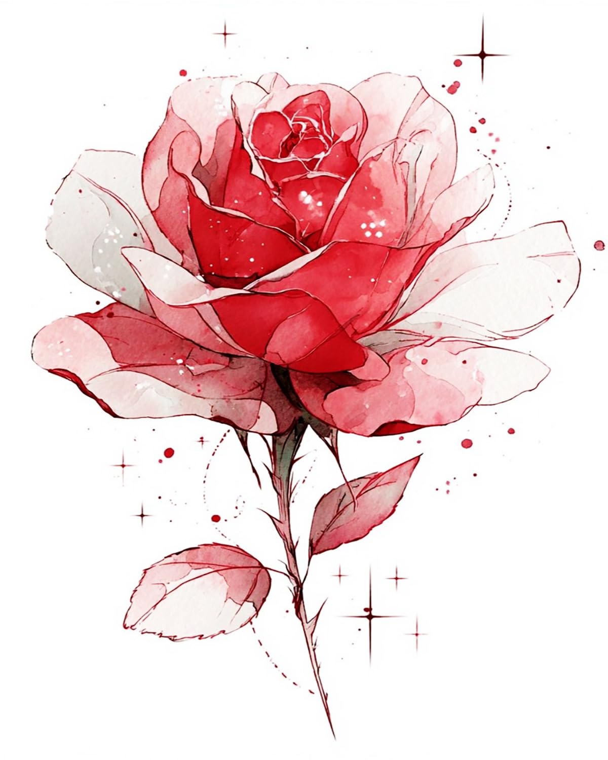Liubaishi Red And White Paint By Numbers Kit For Adults, Starlight Rose, 40X50 Cm, Acrylic On Canvas