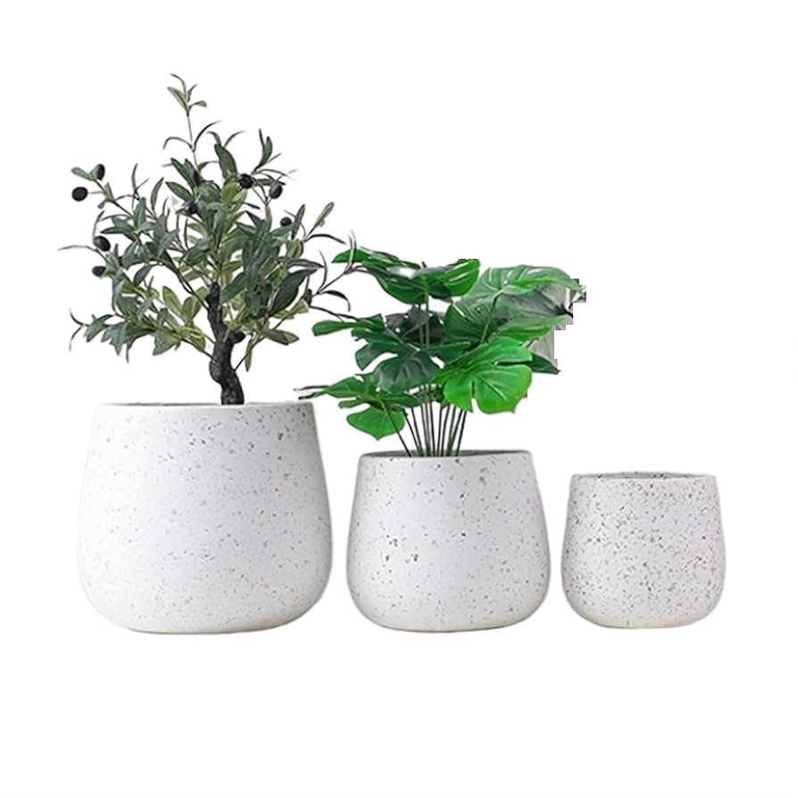 Amazon.co.jp: 大型植木鉢 セメント シンプル ドット柄 楕円形