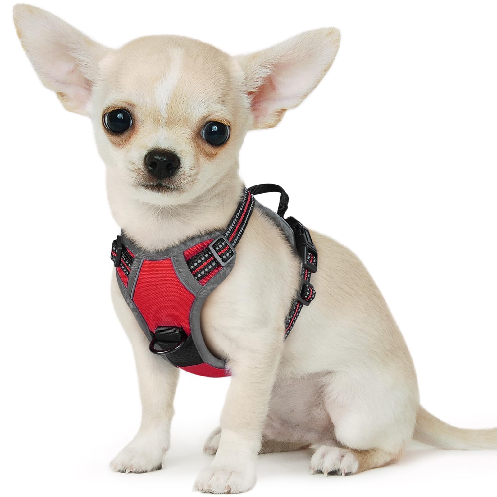 Eagloo Pettorina Cane Taglia Piccola, Pettorina ad h Antifuga, Imbracatura per Cani Anti Tiro con Doppio Gancio, Robusto e Regolabile per Addestramento, Imbracatura Cucciolo, XS, Rossa