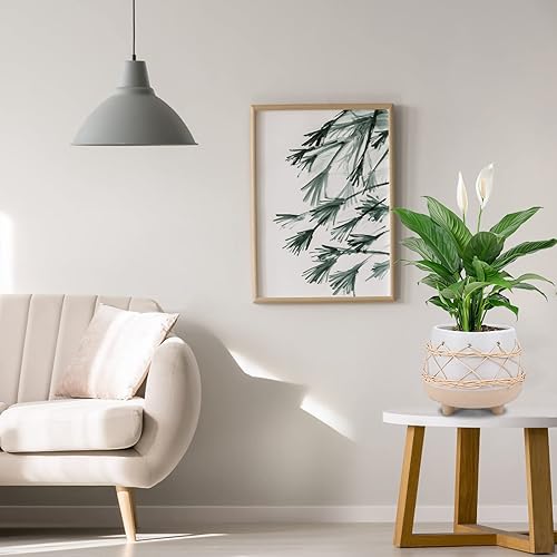 Miniatura 2 de Maceta Chonsun de Cerámica 8 Pulgadas Macetas para Interior y Exterior con Agujeros de Drenaje Macetas de Flores Macetas de Plantas Cerámicas