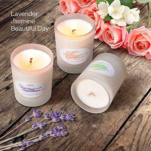 Anjou Scented Candle 6 Pack Gift Set, Aromatherapy Set of Fragrance Soy Wax, 15 Hours Burn Time Per Cup, 6 x 70 g for Stress Relief, Christmas Gift