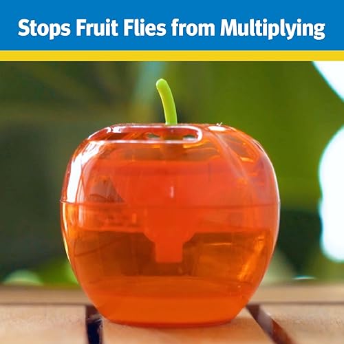 Miniatura 9 de Raid FFTA - Trampa para moscas de frutas, rojo, 1 trampa