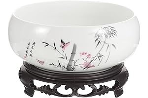 Indoor Bonsai Bowl for Hydroponic Plants