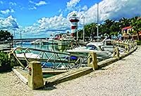 The Official Hilton Head Book : Discover the Treasures of One of America's Most Cherished Coastal Towns 1938417380 Book Cover