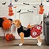Product Photo 4