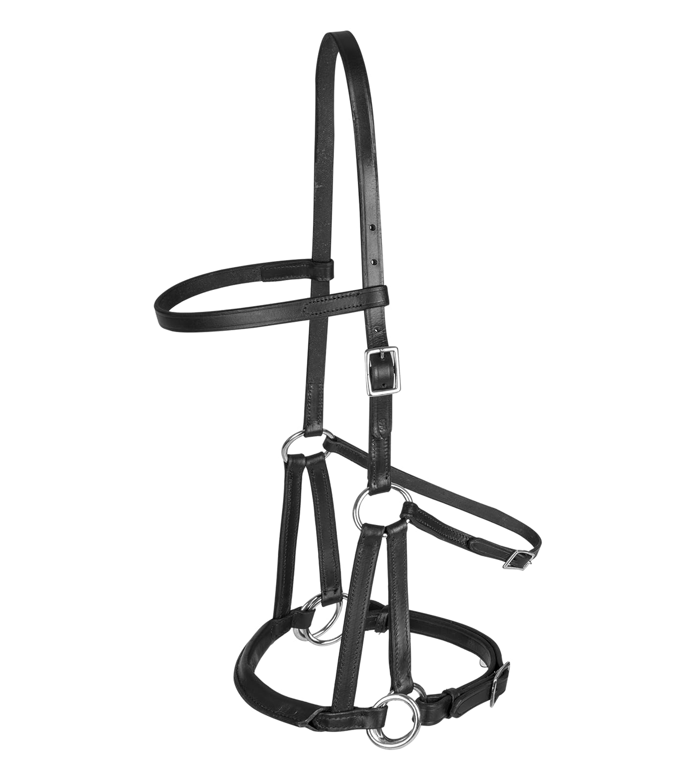 Linda Tellington Jones Lindel