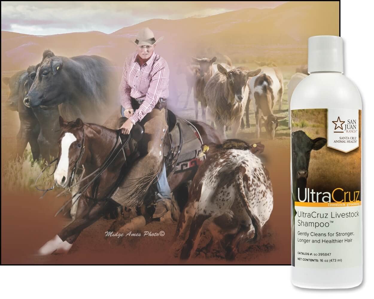 Livestock Shampoo For Cattle, Goats, Sheep And Pigs UltraCruz