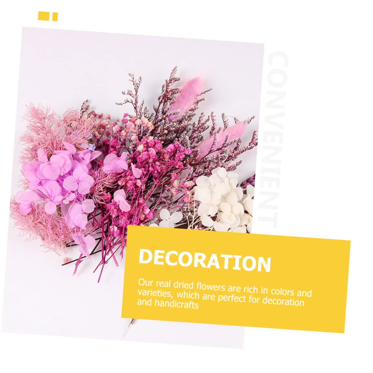 PRETYZOOM 2 Pièces 1 Fleurs séchées décoratives bouda Decoration Interieure décoration intérieure Fleur sechee gypsophile Bouquet de Fleurs séchées Plantes séchées Fleurs fraîches conservées