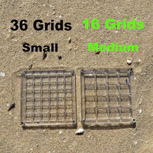 Image of Acrylic Magnetic Seashell Display Box,DIY Seashell Display Box,Clear Storage Box for Seashell,Gemstones,Nail,Jewelry (1Pc 16 Grids Medium)