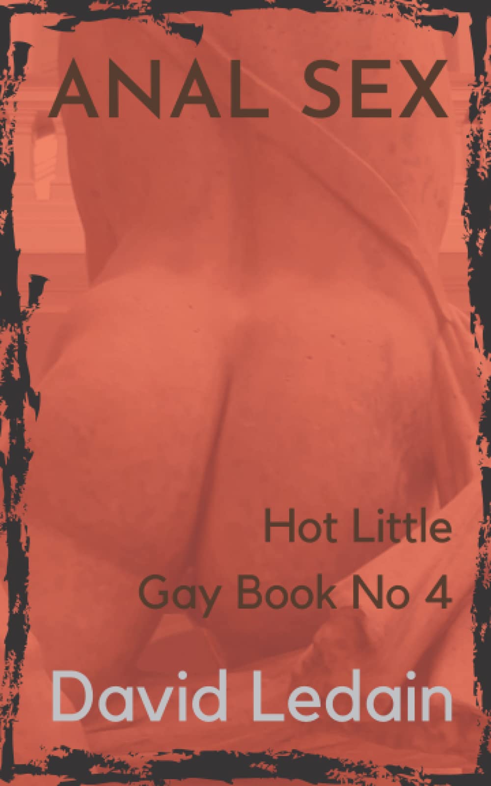 Hot Little Gay Book No 4: Anal Sex