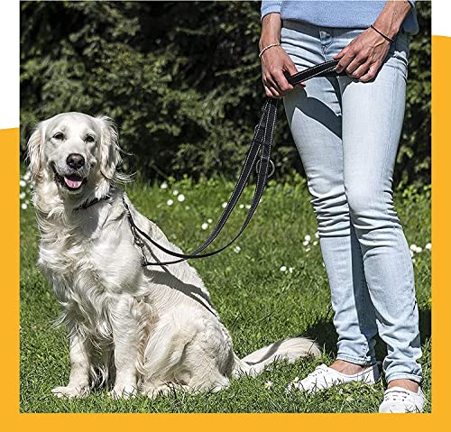 Happilax Hundeleine 2m verstellbar - Schwarz/Reflektierend - 3-stufig verstellbare Leine - Doppelleine, Schleppleine - geeignet als Hundeleine für große Hunde oder als Schleppleine für kleine Hunde.