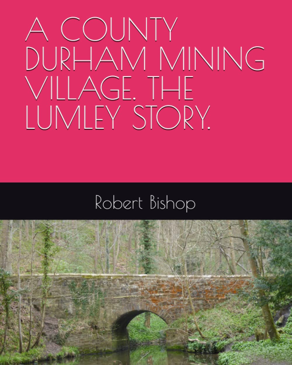 A COUNTY DURHAM MINING VILLAGE. THE LUMLEY STORY.