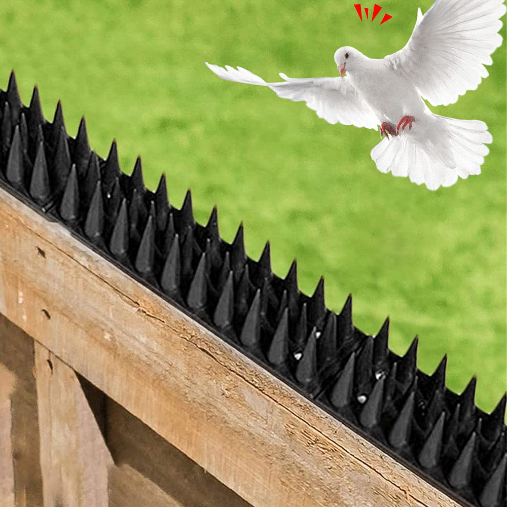 Buy Fence Spikes, 10Pcs Bird Spikes Wall Fence Cat Repellent Burglar