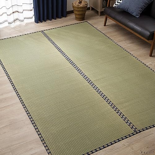 JCY(CAINZ)   ~  2 174cm s174cm ]ˊ R hL ͂ h rO _CjO