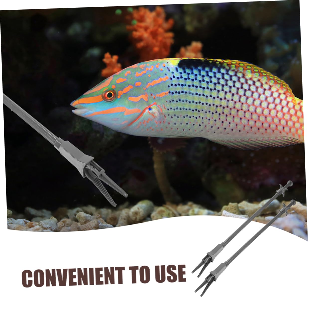 BESPORTBLE Lot de 2 pinces à plantes aquatiques - Accessoires d'aquarium - Pince en plastique - Avec outil de plantation d'aquarium - Gris foncé