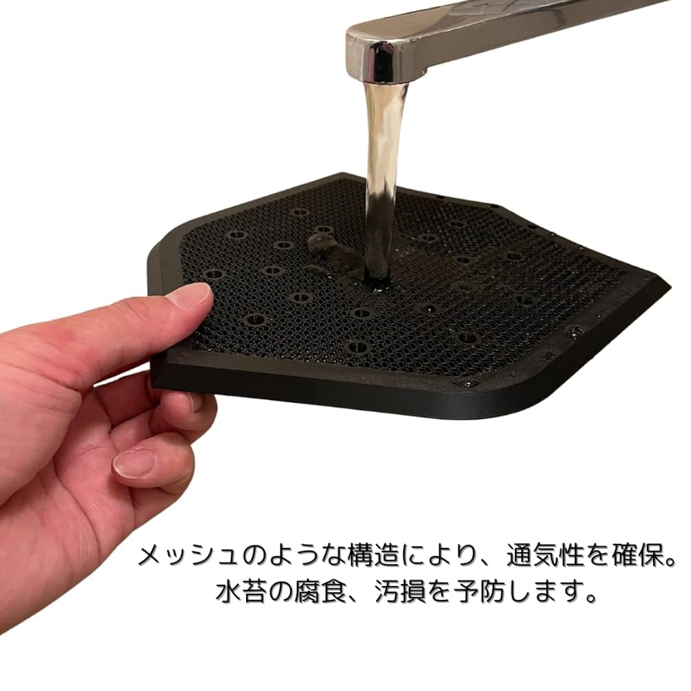 トフスラン専用　ビカクシダ Amazon｜コウモリラン ビカクシダ ワイヤー付 苔玉 観葉植物