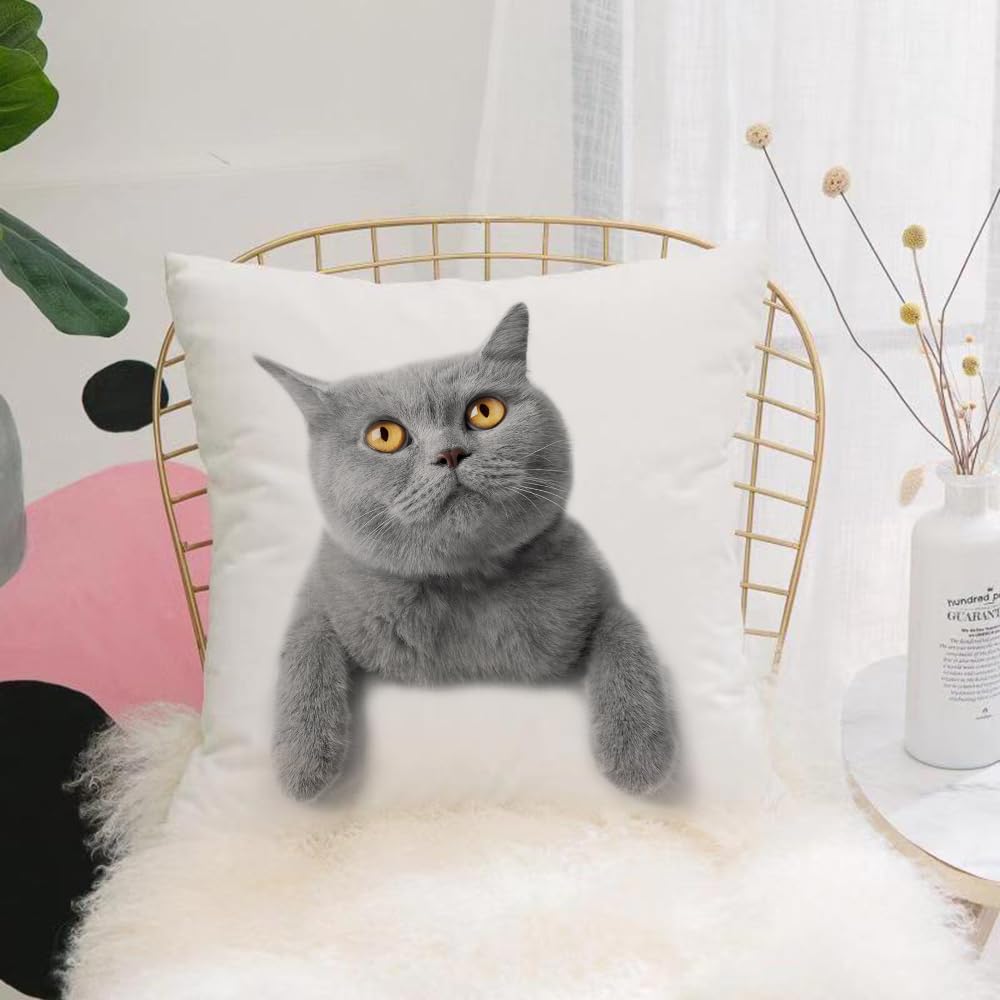 HYOSXW Cushion Cover,Throw Pillow Case Home Decorative for Living Room Bedroom Sofa Chair 16X16 Inch,Cat, portrait of curious golden eyed round-faced blue cat,Pillowcase 40X40cm