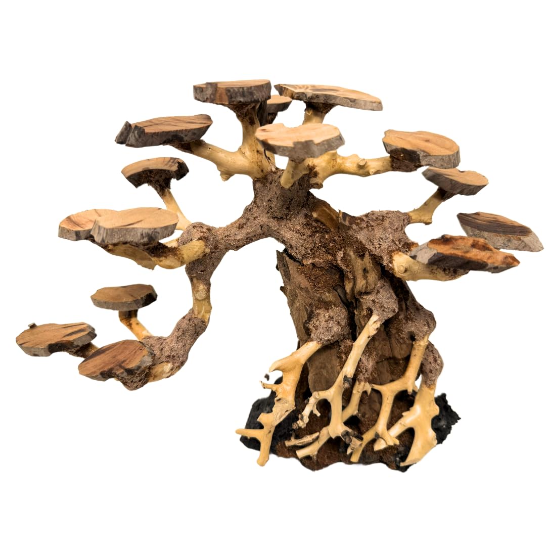 Bonsai Driftwood Aquarium Trees on Rock (8