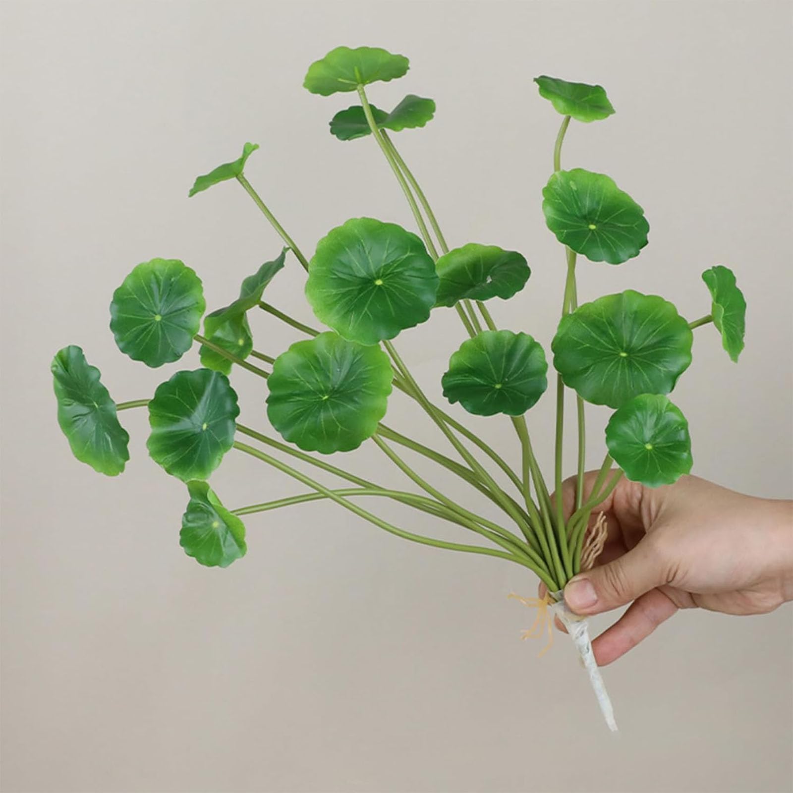 jade pothos care Jade Pothos - Epipremnum Aureum 'Jade' main image 1
