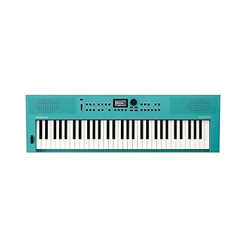 極美品 Roland ローランド GO-61K GO:KEYS キーボード Amazon.co.jp: ローランド Entry Keyboard Roland GO-61K : 楽器