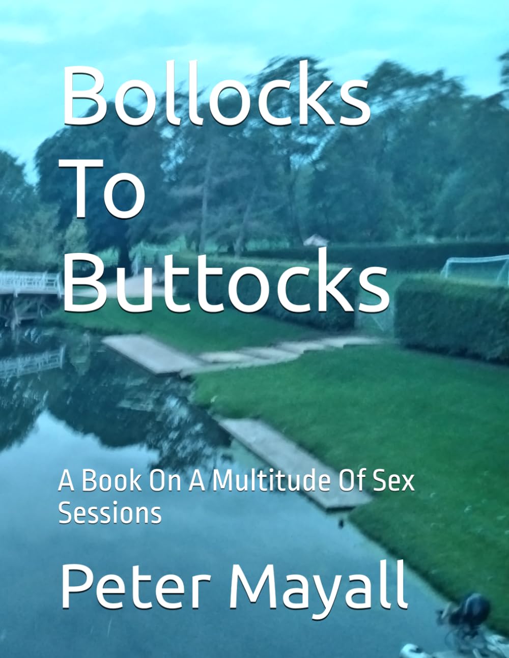 Bollocks To Buttocks: A Book On A Multitude Of Sex Sessions