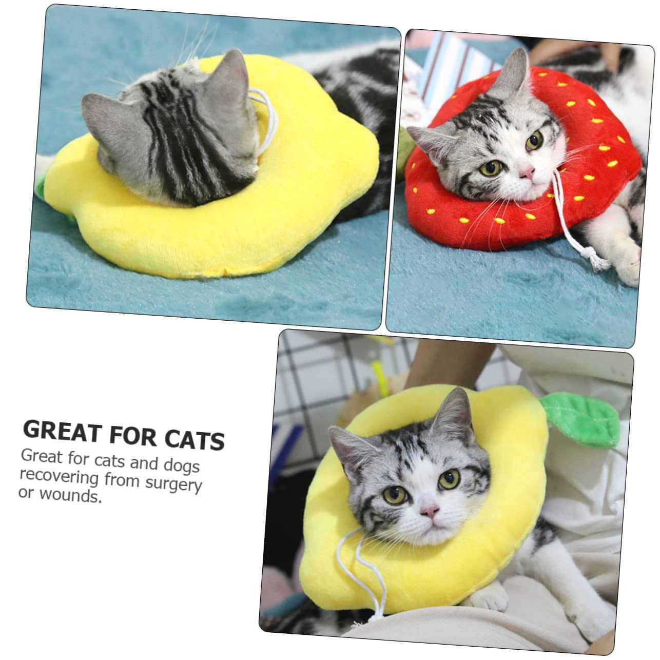 VANZACK 6pezzi Collare Protettivo Regolabile Per Gatti e Cani Cono Per Post-operazione Design Sicuro