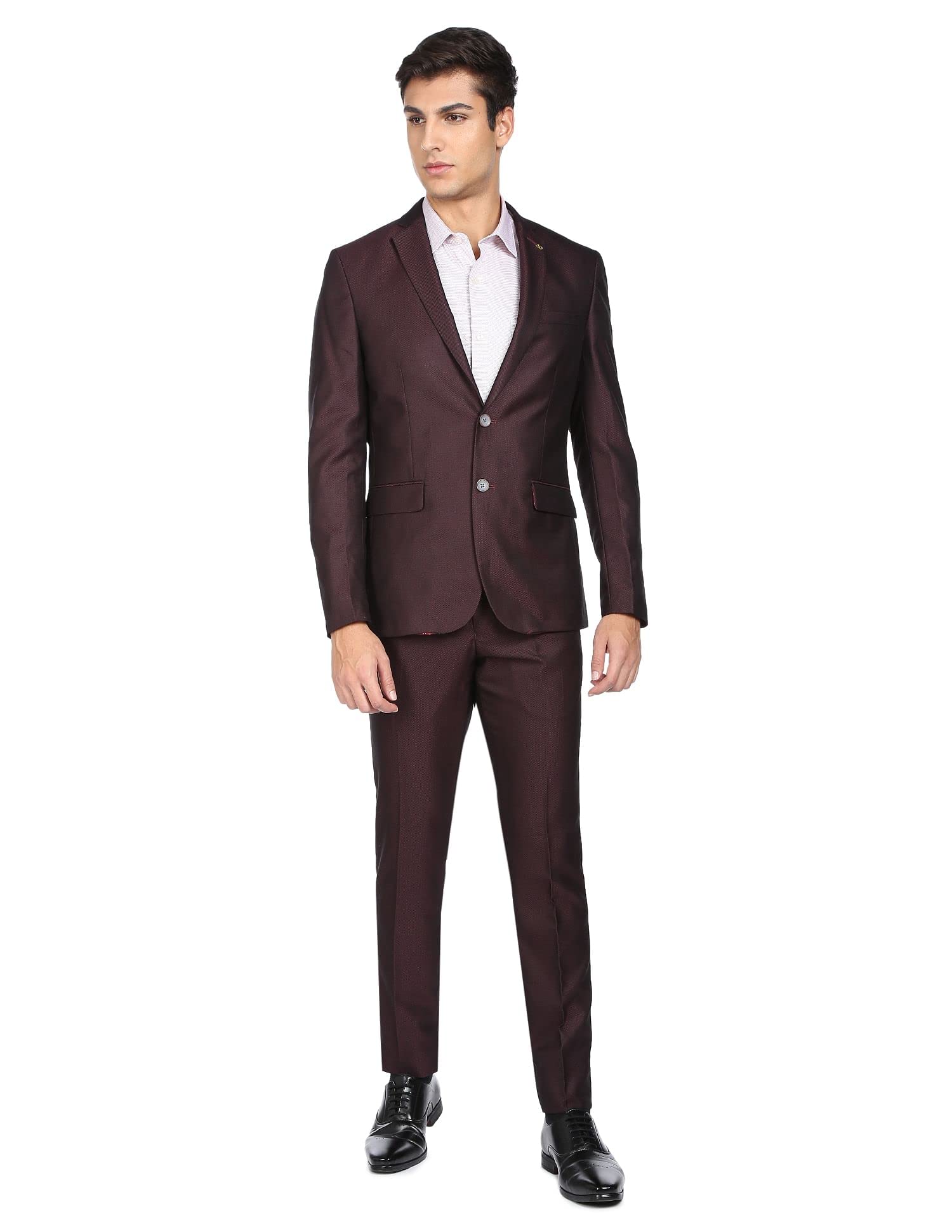 arvind Men Wine Tailored Fit Patterned Dobby Two Piece Suit-picture-33