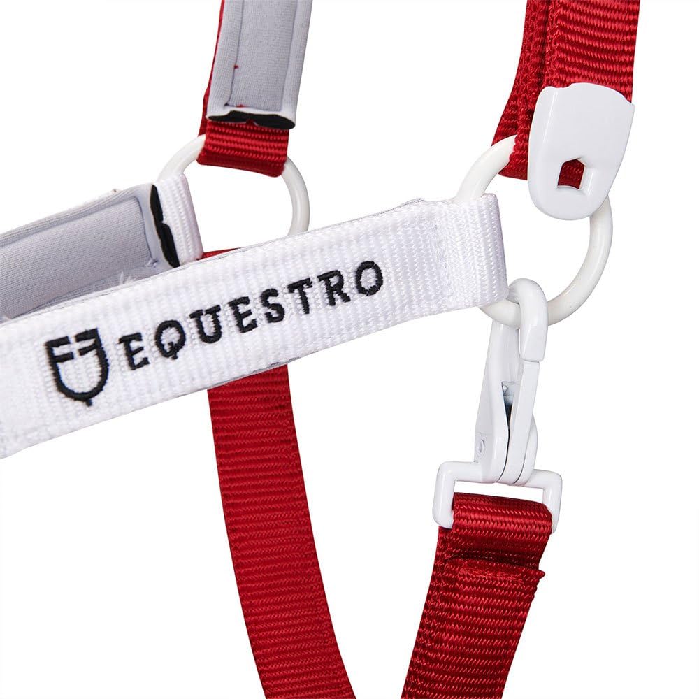 CAVEZZA "FLAGGY" E LUNGHINA (FULL, NAVY/BIANCO/ROSSO)