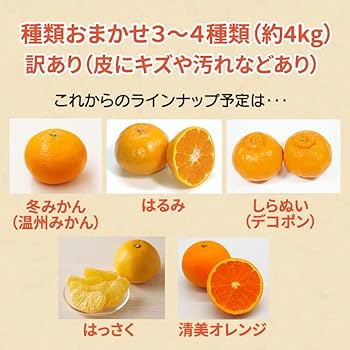 みかん　四つセット みかんサイダー（みかん農園サイダー）和歌山県産みかん果汁51