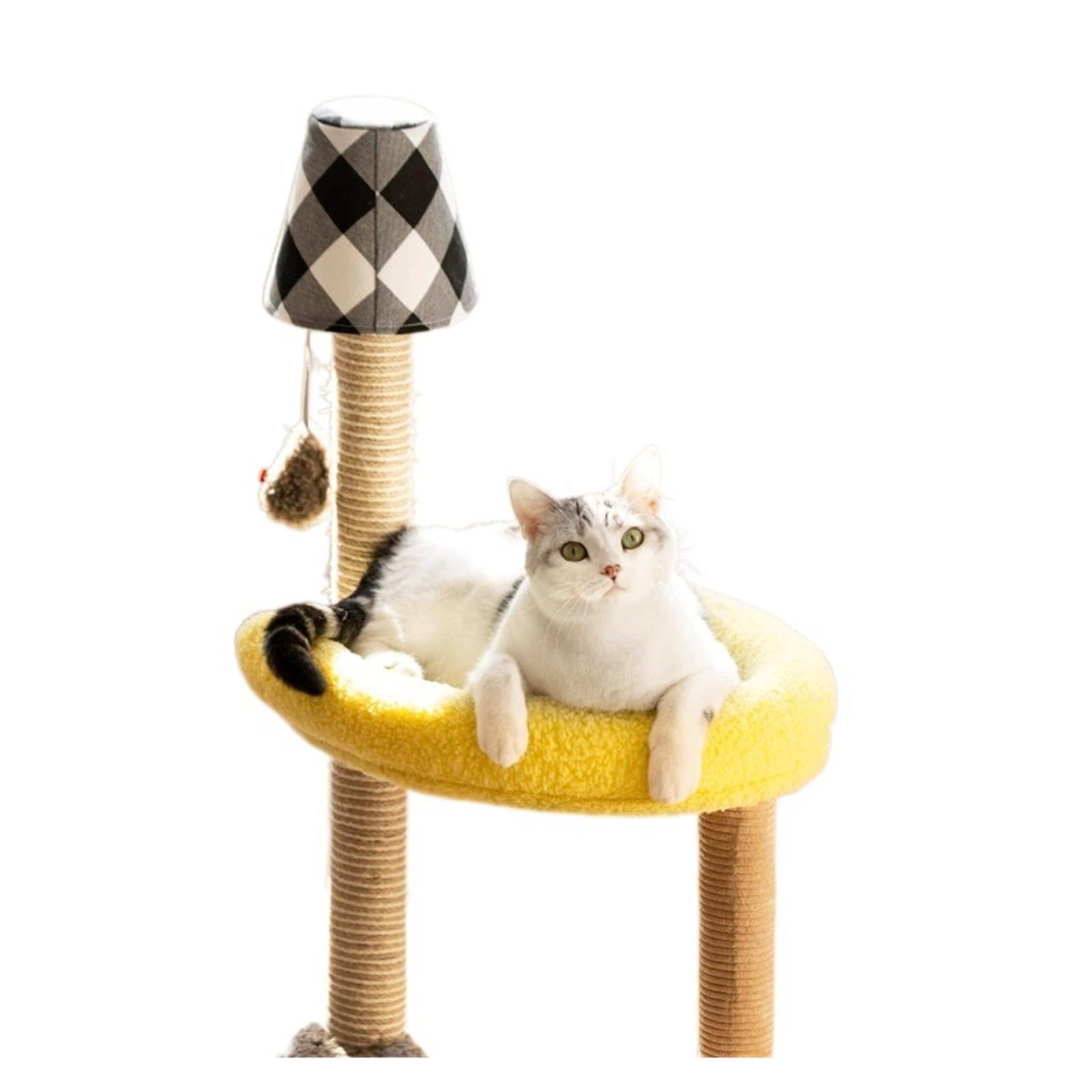Poteau à gratter pour chat de qualité supérieure avec cadre d'escalade QM047