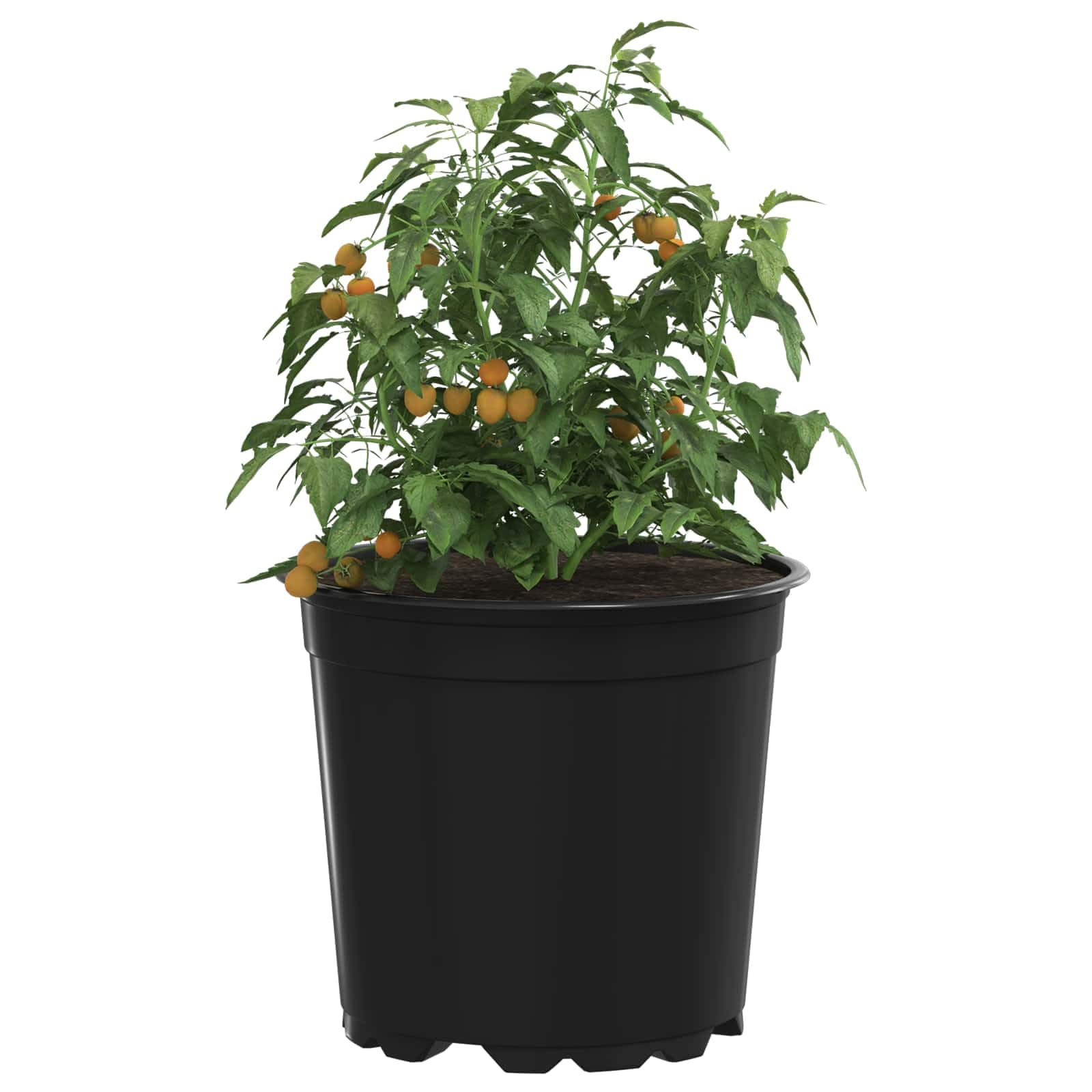 50er Set Blumentopf Schwarz Ø 15 x 13 cm Kunststoff - Moderner Pflanztopf für Innen und Außen - Rundes Design mit Entwässerungslöchern für Garten und Balkon