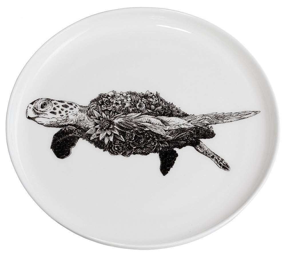 Maxwell & Williams DX0529 Green Sea Turtle Plate - Black and White - 20cm Diameter - Porcelain - Turtle Design in Gift Box