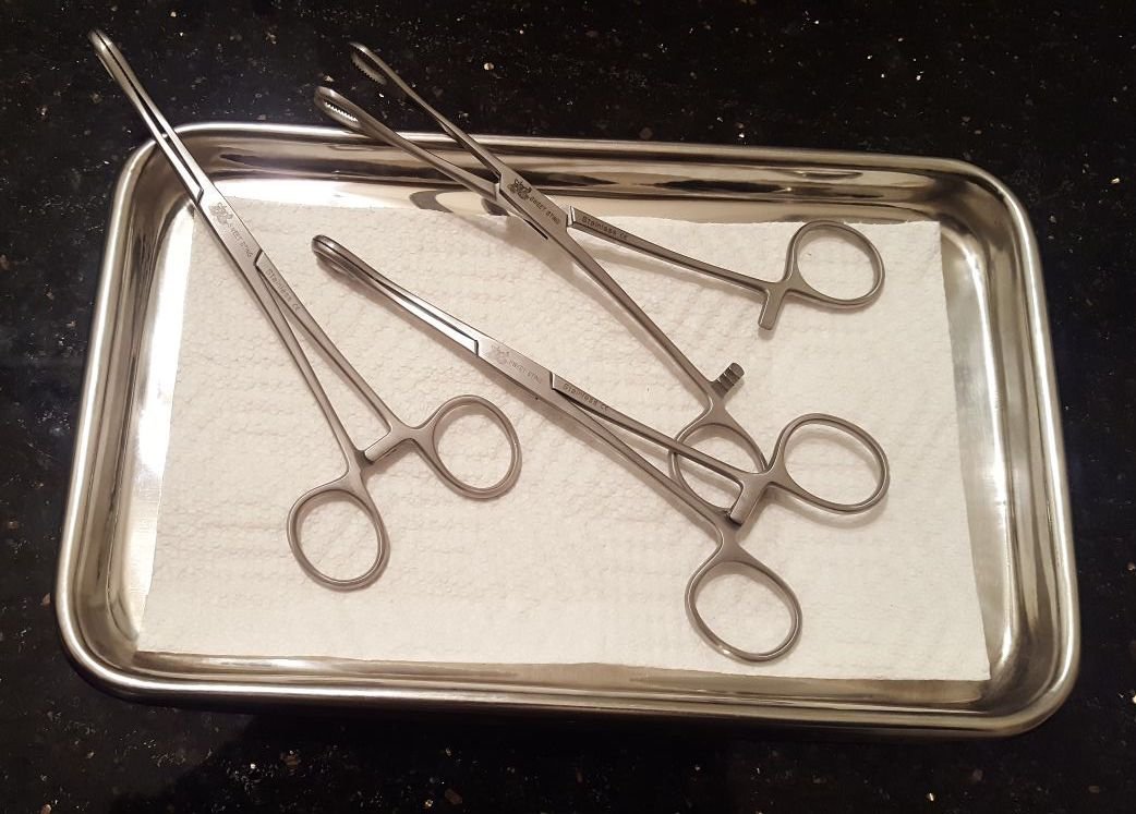 3 Body Piercing Sponge Forceps Unslotted 7