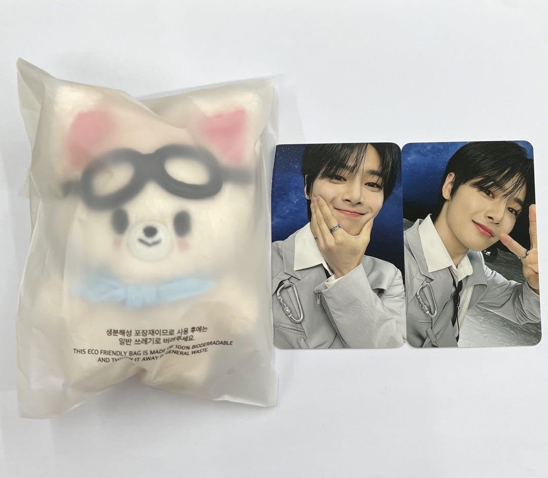 Amazon.co.jp: straykids pilot plush トレカ アイエン FoxINy スキズ