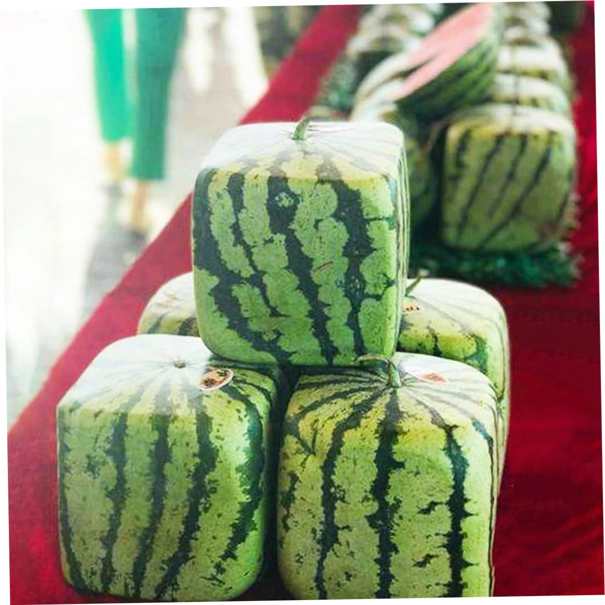 すいか　様　　専用 公式】トライアングルトリコットキャップ（ユニセックス